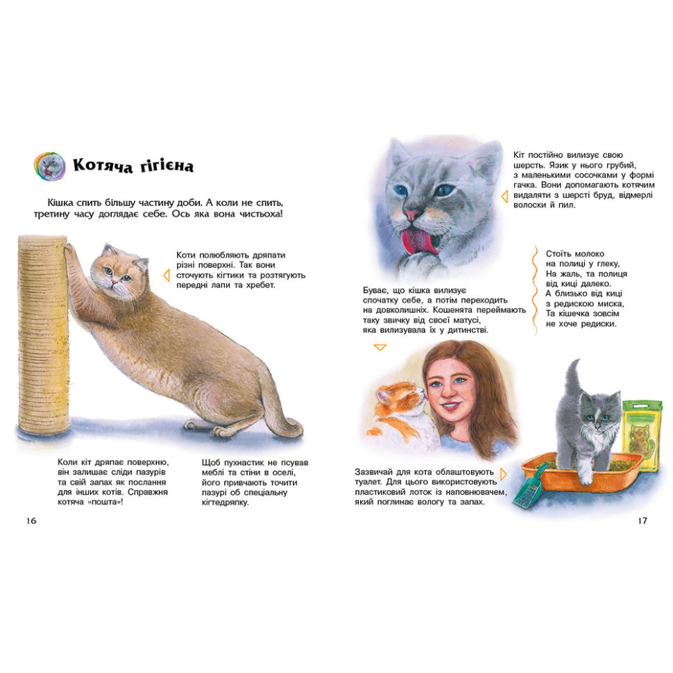 Энциклопедия дошкольника 