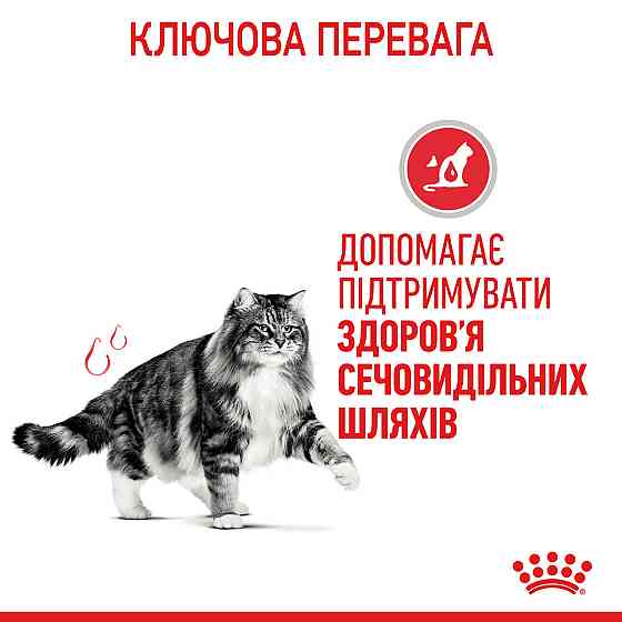 Вологий корм для дорослих котів ROYAL CANIN URINARY CARE 0.085 кг Київ