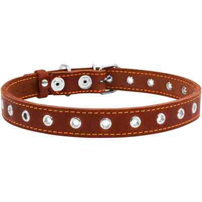 Нашийник для тварин Collar безрозмірний 20 мм 50 см (коричневий) (01516) Вінниця