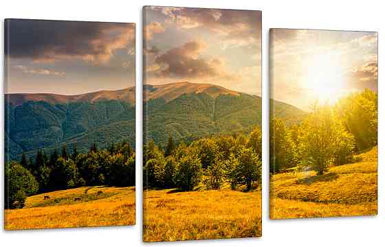 Модульная картина в гостиную / спальню    Природа  Art-712_3 100x150 см Киев