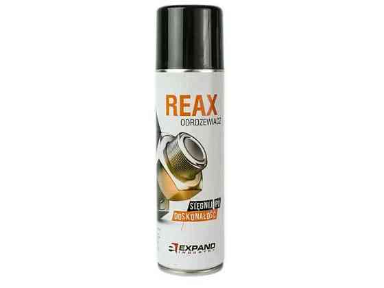 Засіб для захисту від корозії Reax 100ml ТМ КОЛЕСО Київ