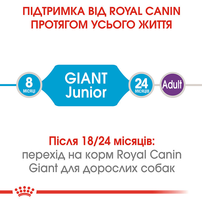 Корм для молодих собак гігантських порід ROYAL CANIN GIANT JUNIOR (джуніор) 15.0 кг Київ - фото 5