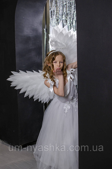 Крылья Ангела большие поднятые Кривой Рог - изображение 6