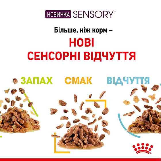 Вологий корм для дорослих котів ROYAL CANIN SENSORY FEEL JELLY шматочки у желе 85г, стимулює відчуття корму Київ