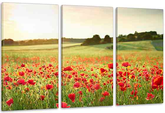 Модульная картина Поле Маки Аrt-187_3А Киев