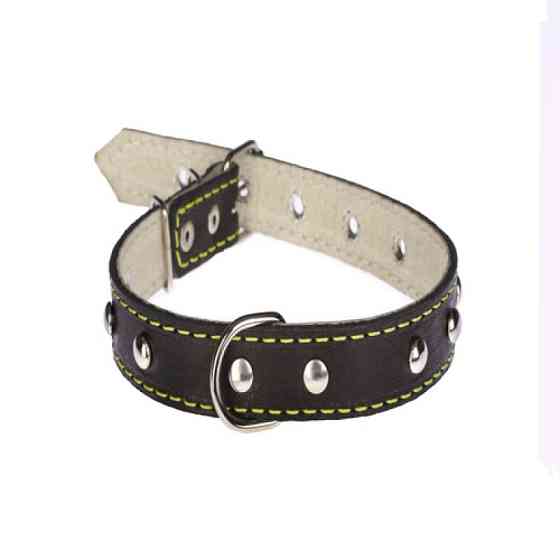 Нашийник 217 20мм "Класик" шкіра подвійний прикрашений Вінниця