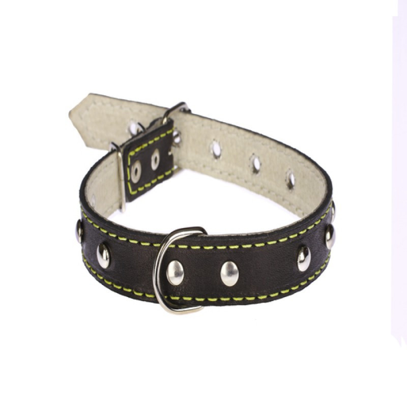 Нашийник 217 20мм "Класик" шкіра подвійний прикрашений Вінниця - фото 1