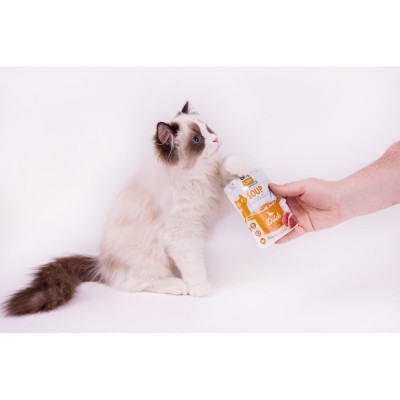 Влажный корм для кошек Brit Care Soup with Duck с уткой 75 г (8595602569182) Винница - изображение 7