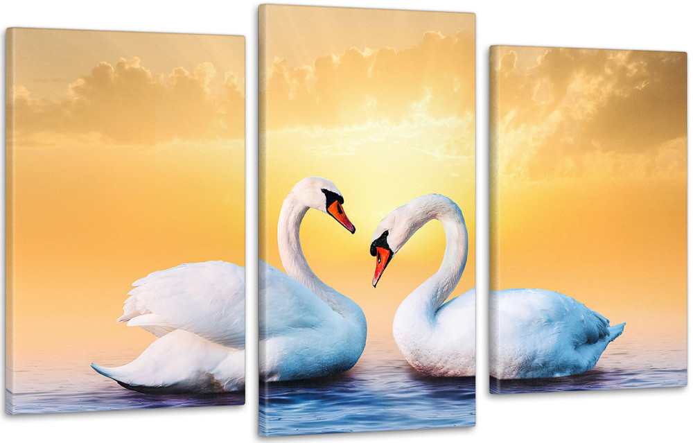 Модульная картина Природа Лебеди Art-192_3 70x130 см Киев - изображение 1