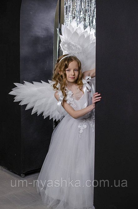 Крылья Ангела большие поднятые Кривой Рог - изображение 10