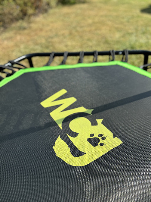 Фітнес батут спортивний для тренувань з ручкою WCG Jumper (W-1010-50) Київ - фото 10