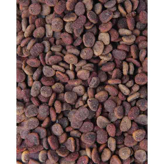 Сухой корм Carnilove True Fresh Cat для взрослых кошек, с курицей, 1,8 кг Винница