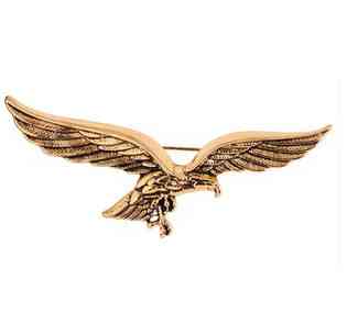 Брошь для одежды модная Орел Киев