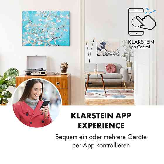 Розумний інфрачервоний нагрівач Wonderwall Air Art 80x60 см, 500 Вт, настінне кріплення, квіти 80 x 60 см / Рівне