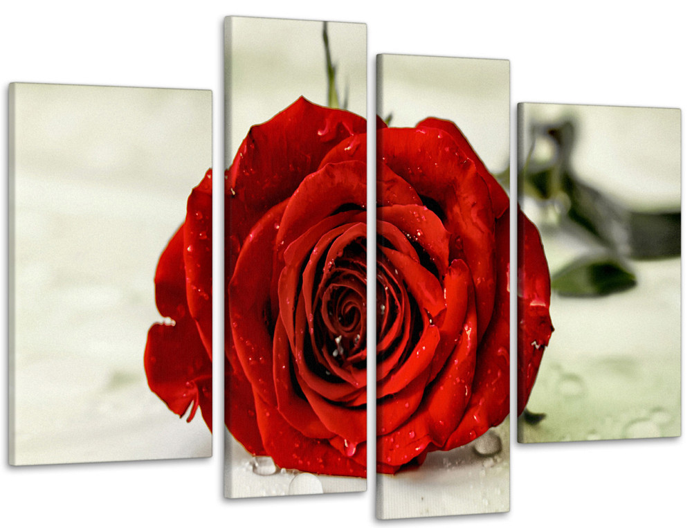 Модульна картина Квіти Троянда Art-20_4 Київ - фото 1