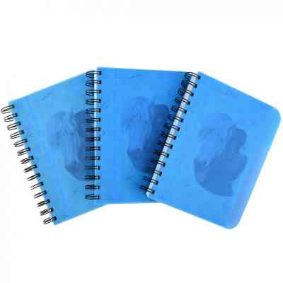 Блокнот Yes В6 Friends forever 144 листа пластиковая обложка (681990) Винница