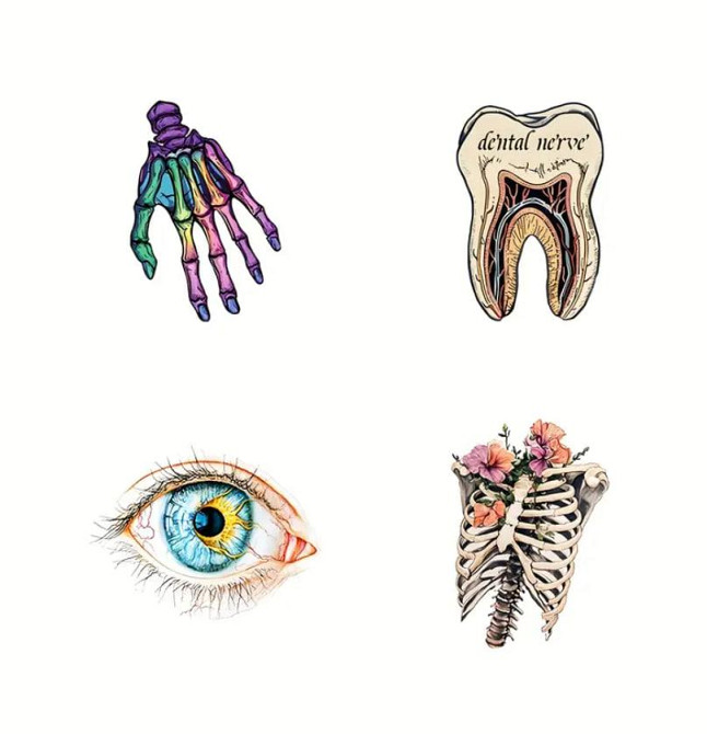 Медицинские анатомические наклейки 