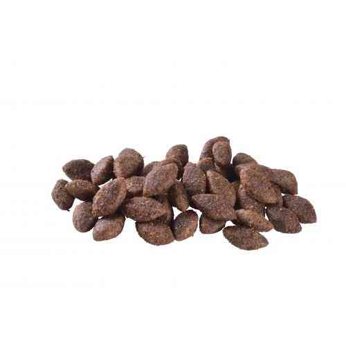 Корм сухой Brit Care Dog Sustainable Activity для взрослых собак с повышенной активностью с курицей и насекомыми 3 кг Киев