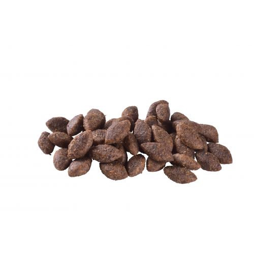 Корм сухой Brit Care Dog Sustainable Activity для взрослых собак с повышенной активностью с курицей и насекомыми 3 кг Киев - изображение 2