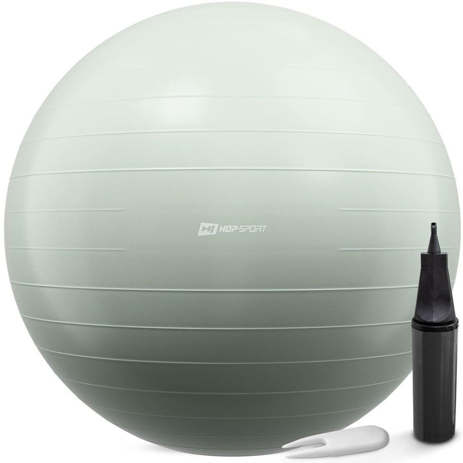 Фитбол Hop-Sport 85см шалфейный + насос Киев - изображение 1