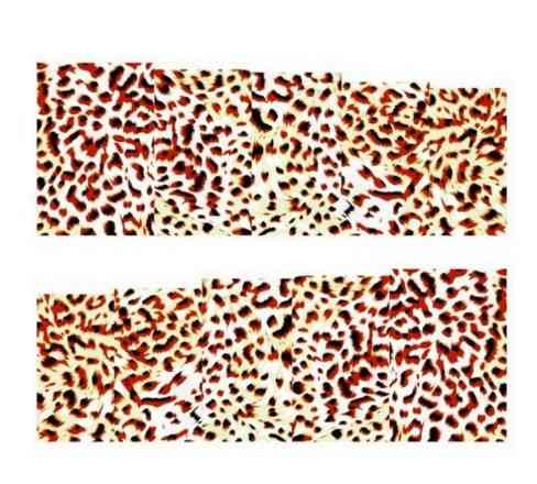 Наклейки для ногтей 