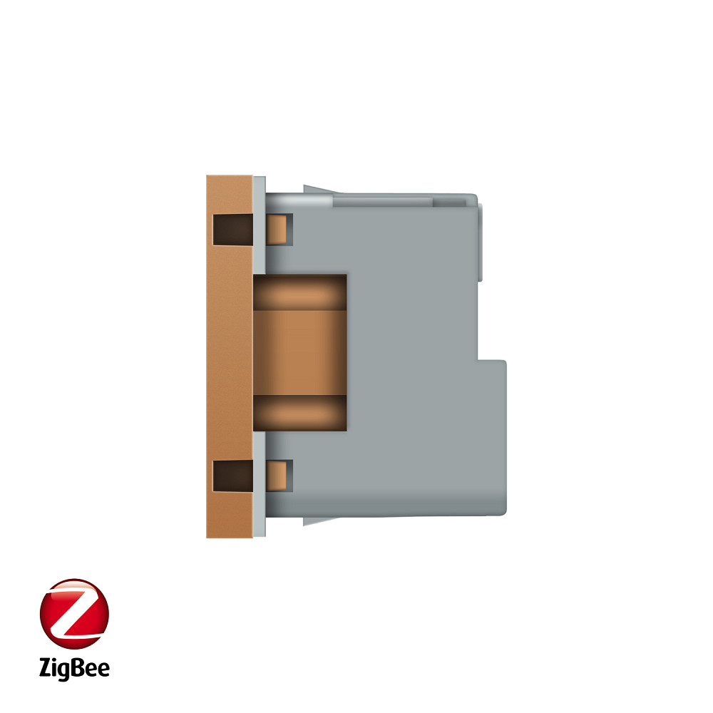LIVOLO Розумна розетка LIVOLO ZigBee, з заземленням, золота, 16А 230В, керування через Alexa / Коломия - фото 10