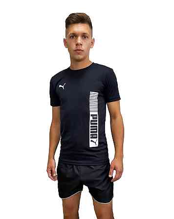 Футболка мужская  Puma EVOSTRIPE.  р. S(44) Киев