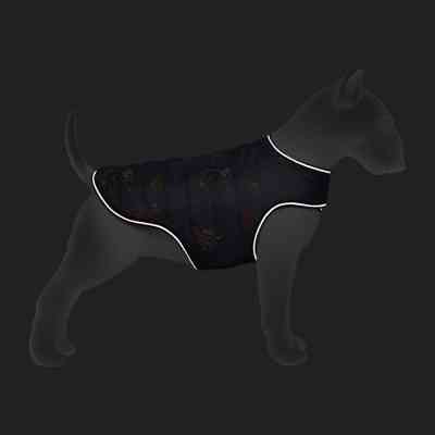 Курточка для животных WAUDOG Clothes "Сила Супермена" XS (502-1079) Винница