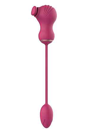 Гибкий двойной стимулятор и вибрационное яйцо Dream Toys Essentials, розовый Sex Aura Киев