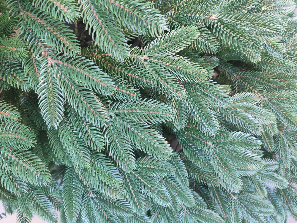 Елка искусственная новогодняя «Литая Швейцарская» зеленая 1.5 / 1.8 / 2.1 / 2.3 / 2.5 м 2.5 Киев - изображение 9