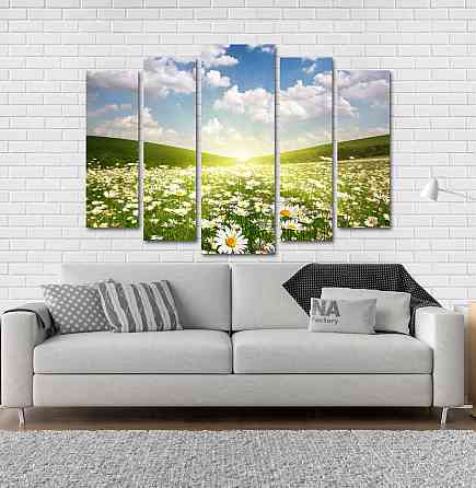 Модульна картина Ромашки Поле Art-160_5 Київ