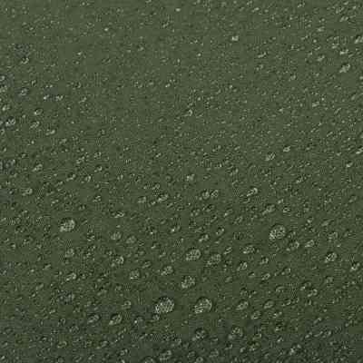 Спальний мішок Highlander Hawk Bivvy Bag Olive (BIV001-OG) (929726) Вінниця