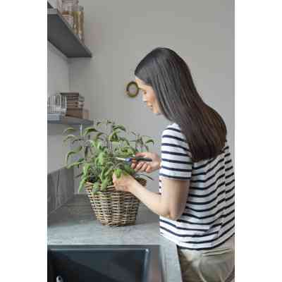 Ножницы садовые Gardena FreshCut для травы и цветов (12212-20.000.00) Винница