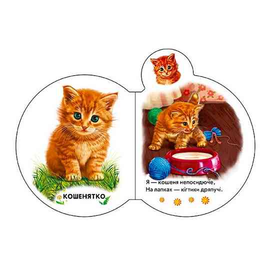 Картонная книжечка для самых маленьких Малыши : Во дворе 411015 аудио-бонус Винница