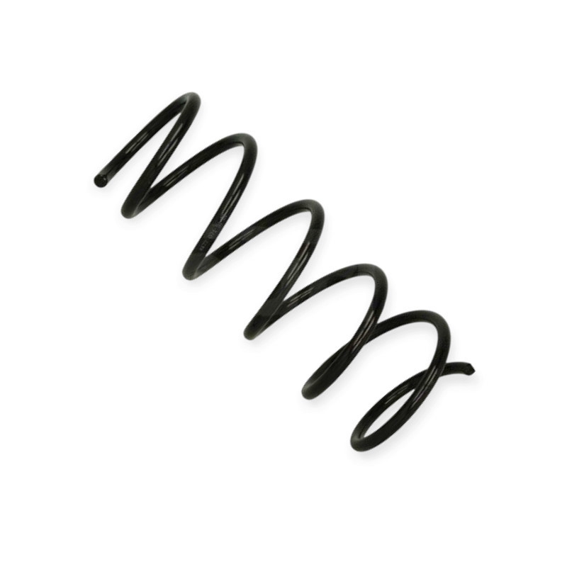 Пружина Dacia Duster 1.5dCi, 1.5dCi 4x4 (10-18), Renault Duster 1.5dCi 4x4 11- передняя Мукачево - изображение 1