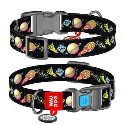 Нашийник для тварин WAUDOG Nylon з QR паспортом "Рік і Морті 3" пластиковий фастекс XL (4504-0282) Вінниця