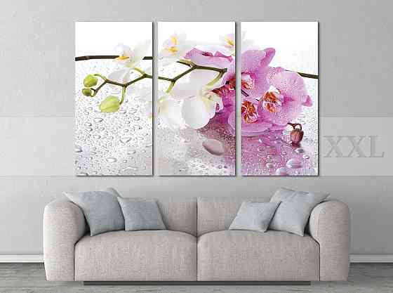 Модульна картина Квіти Орхідея Art-15_XXL Київ