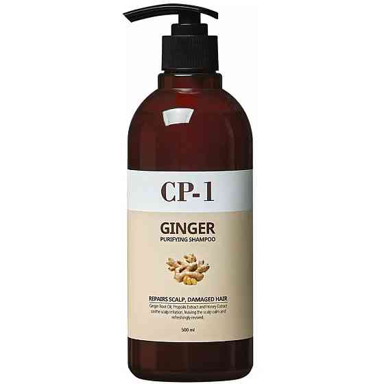 Очищающий шампунь для волос с имбирем Ginger Purifying Shampoo Esthetic House CP-1 500 мл Киев