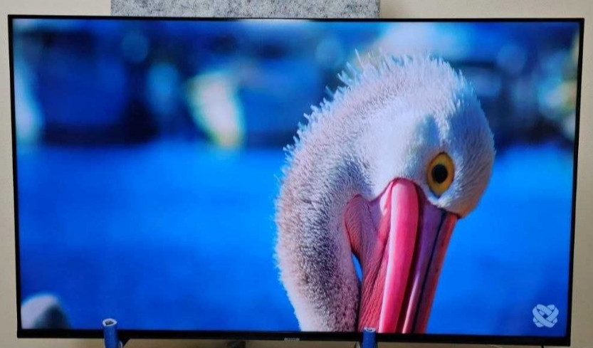 Телевизор: 65