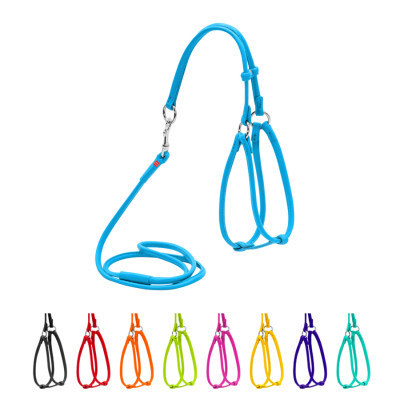 Шлей для собак WAUDOG Glamour круглая, с поводком XS голубая (34022) Винница - изображение 1