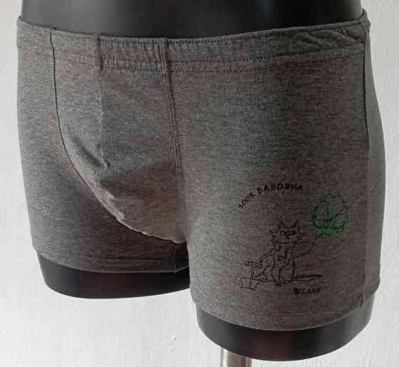 Трусы мужские шорты Lans 06/026 Кот, 4XL Киев