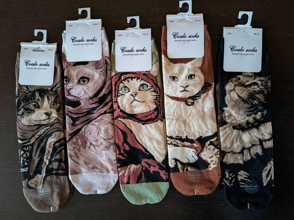 Шкарпетки жіночі з кішками. У наборі з 5 шт. Яскраві жіночі шкарпетки з приколами. Coalo socks. Розмір 36-41 Київ - фото 3