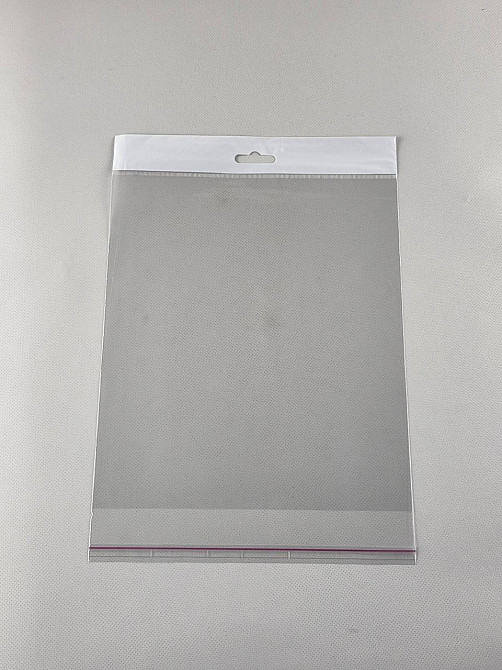 Пакет з еврослотом і липкою стрічкою 22см 25см (1000шт) Харків - фото 1