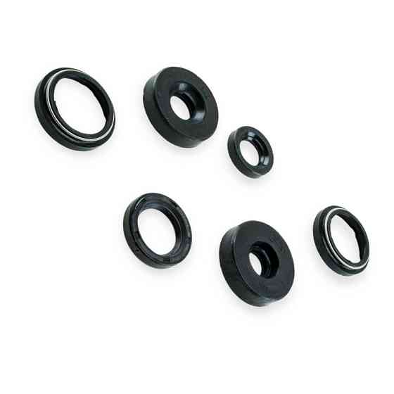 Набор мотоцикл Восход сальников Мукачево