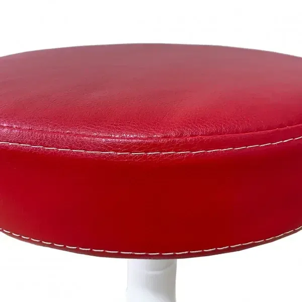 Стілець для майстра без спинки Твін на білій ніжц Київ - фото 10