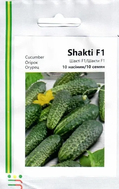 Насіння Огірок Шакті F1 (10 насінин), Rijk Zwaan Вінниця - фото 1