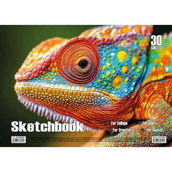 Альбом для малювання Хамелеон KT13022504 пружина 30 аркушів Вінниця