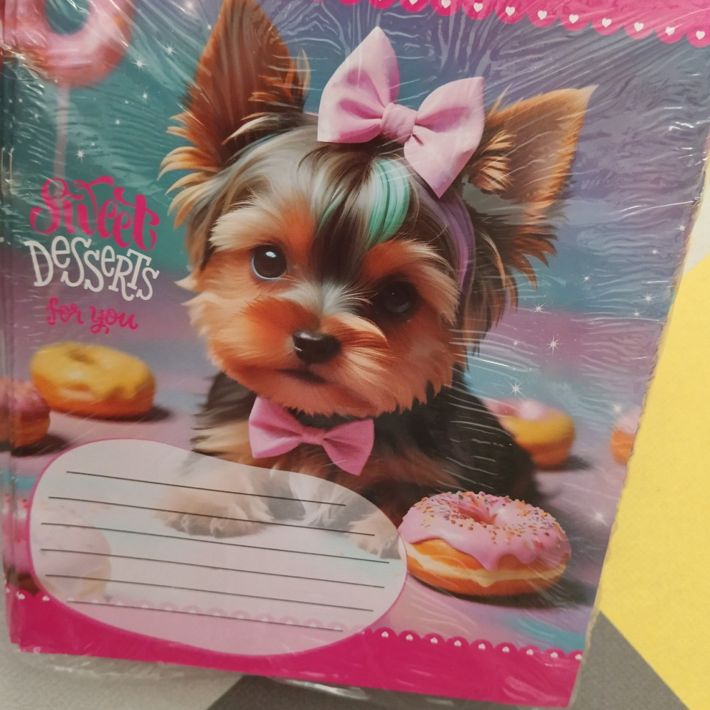 Зошит 12аркушів клітинка Лідер дівчинка Київ - фото 1