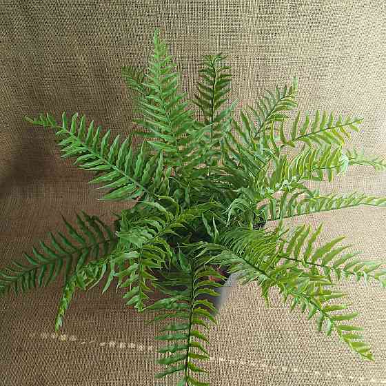 Штучний кущ папороті з латексу Дніпро