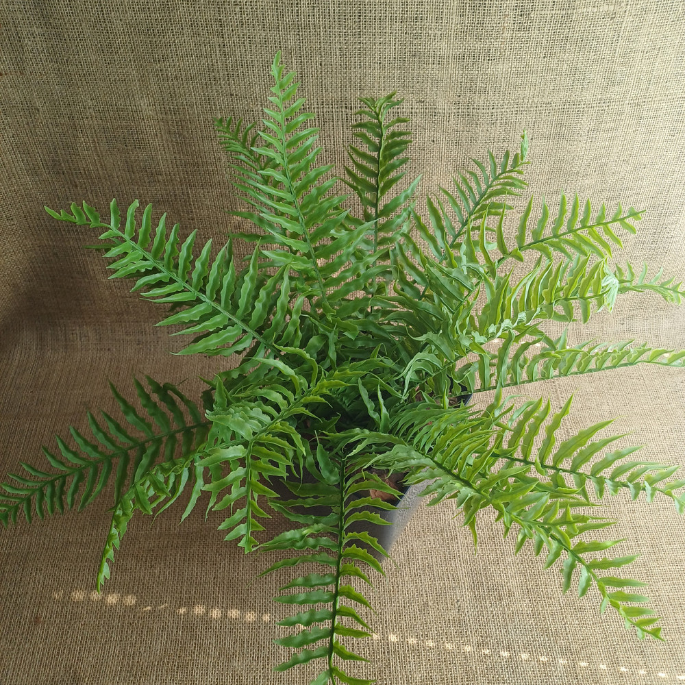 Штучний кущ папороті з латексу Дніпро - фото 3